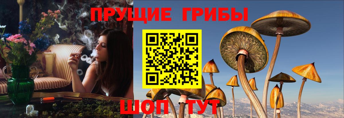Галлюциногенные грибы мицелий  Вход с VPN  купить наркотик  Псилоцибиновые грибы ЛСД  Ялуторовск 